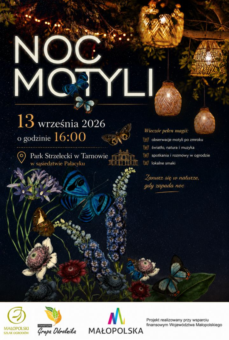 Noc Motyli